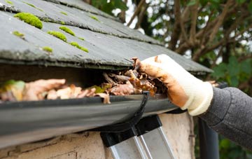 gutter cleaning Skyborry Green, Shropshire