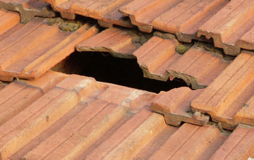 roof repair Skyborry Green, Shropshire